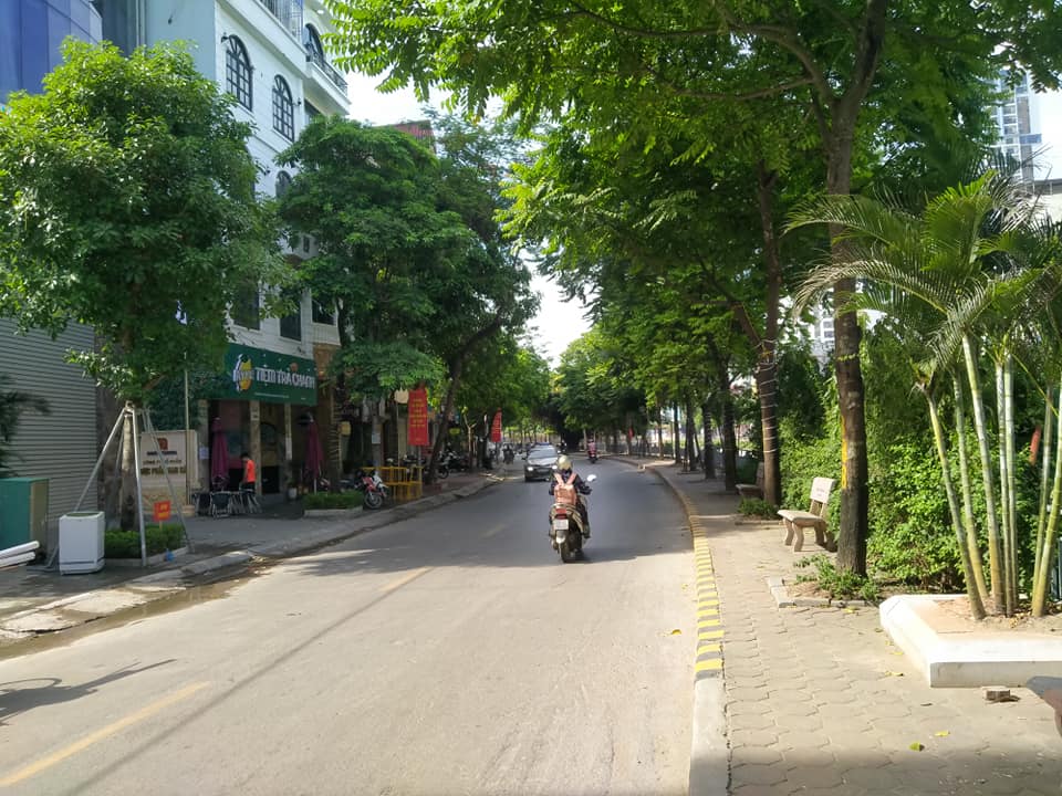 Bán nhà phố Vũ Ngọc Phan ô tô kinh doanh nhỉnh 250 triêu/m2. - Ảnh chính