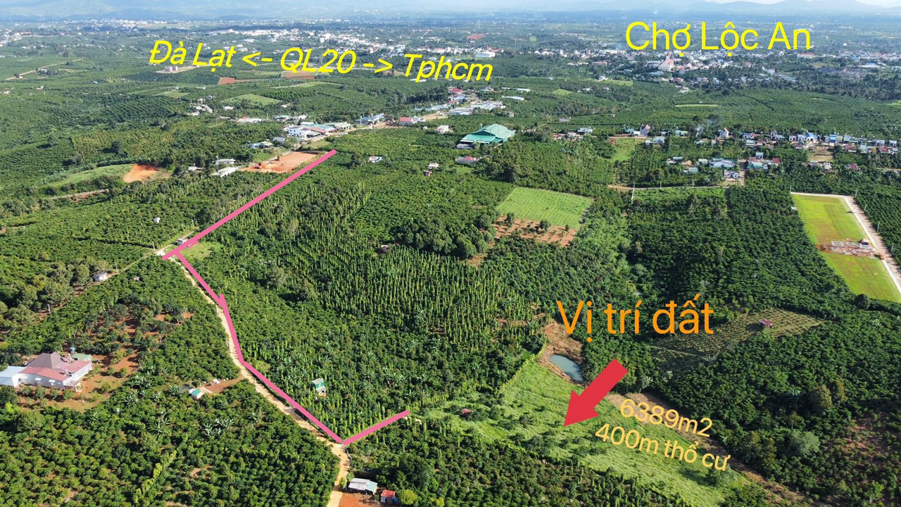 Đất Đẹp - Giá Tốt Bán Nhanh vườn cây ăn trái 6389m2 Xã Lộc An , Huyện Bảo Lâm - Ảnh 1