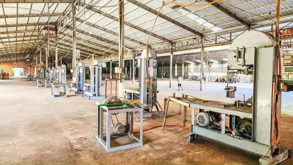 Cho thuê xưởng cưa xẻ gỗ tại Tân Thành, Đồng Xoài, Bình Phước giá siêu rẻ chỉ 180tr cho 8000m2 - Ảnh 3