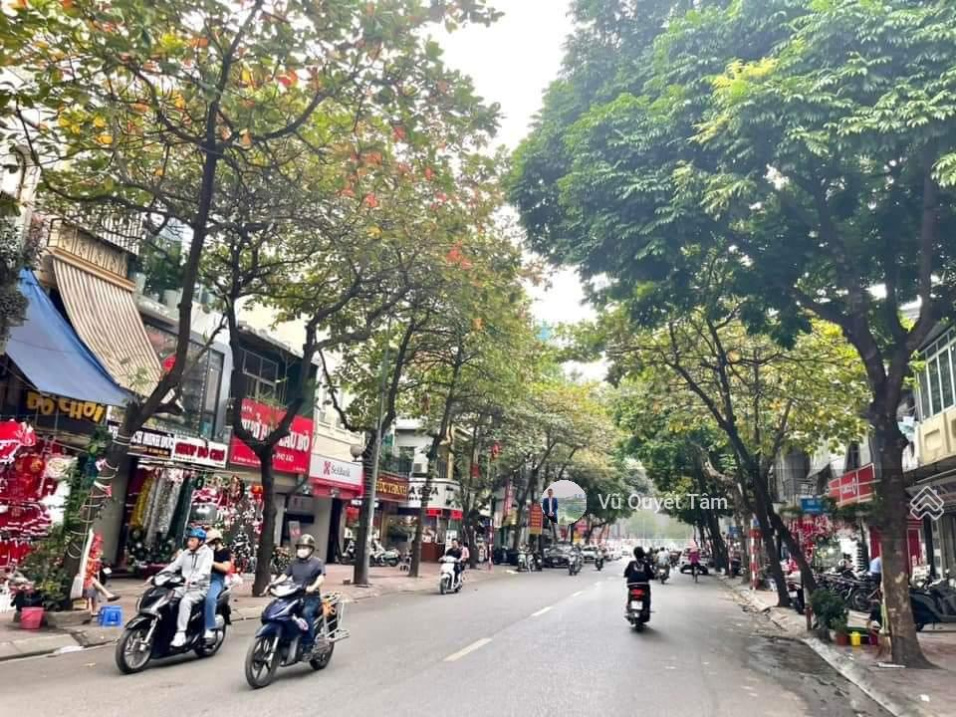 Bán nhà hoa khôi mặt phố Ngọc Lâm long biên 100 m2 MT 6 m - vỉa hè rộng kinh doanh sầm uất 27 tỷ tl - Ảnh chính