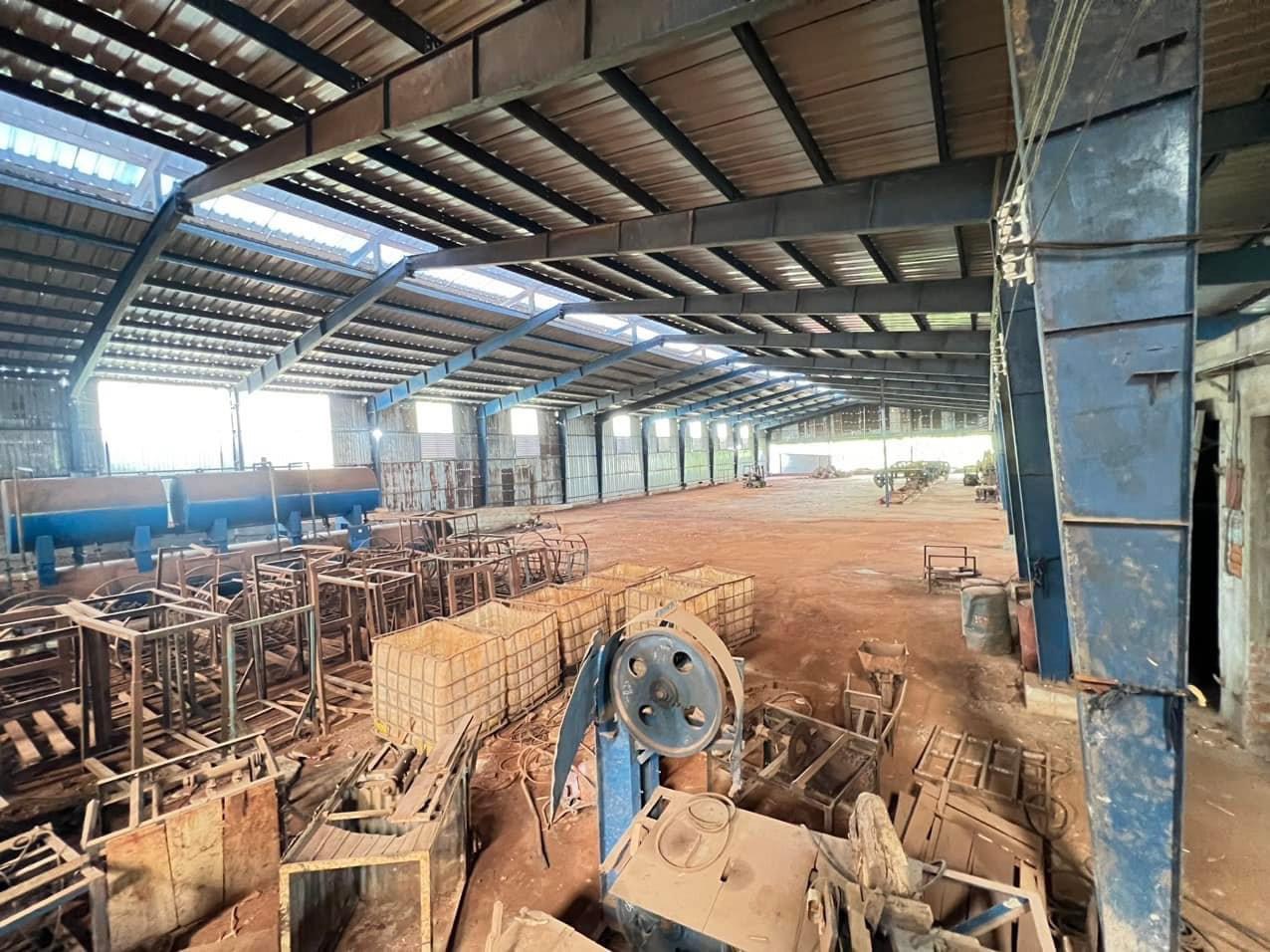 Kho xưởng cho thuê tại An Điền Bến Cát BD.lý tưởng để phát triển kinh doanh trong ngành gỗ cưa sẽ - Ảnh 3