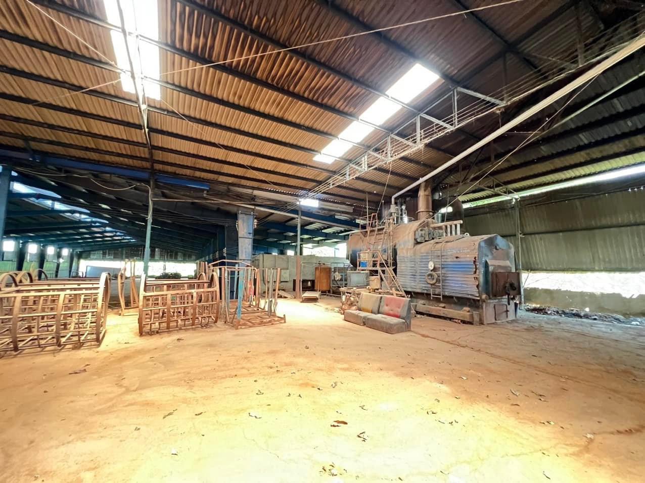Kho xưởng cho thuê tại An Điền Bến Cát BD.lý tưởng để phát triển kinh doanh trong ngành gỗ cưa sẽ - Ảnh 2
