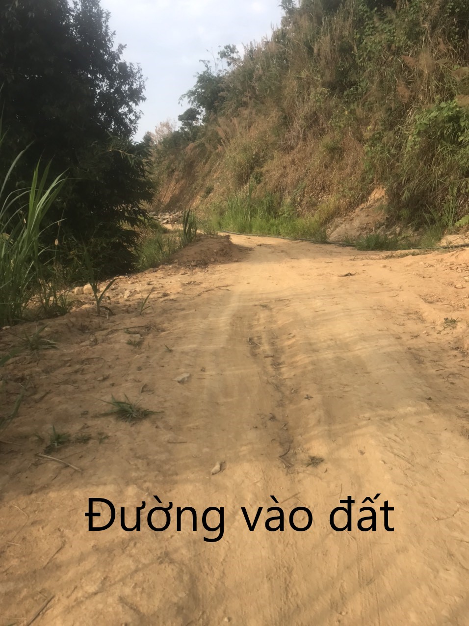 Hơn 1,2 mẫu đất vườn ở thôn 10 , xã Lộc Nam, huyện Bảo Lâm, tỉnh Lâm Đồng giá 1ty500 - Ảnh 1