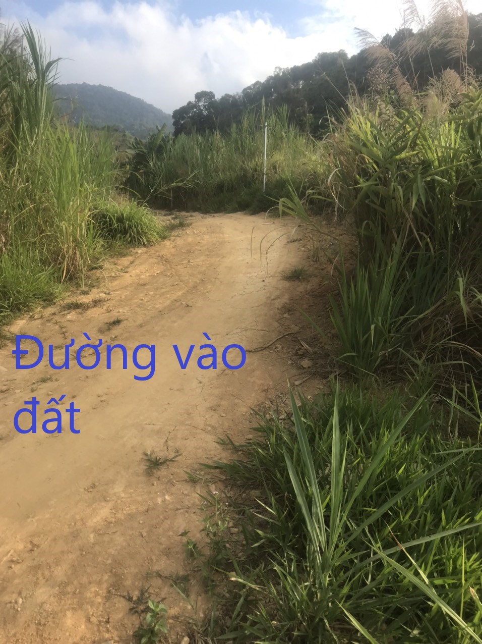 Hơn 1,2 mẫu đất vườn ở thôn 10 , xã Lộc Nam, huyện Bảo Lâm, tỉnh Lâm Đồng giá 1ty500 - Ảnh 2