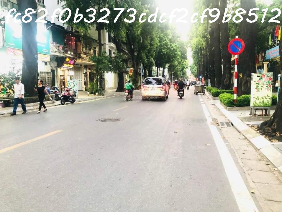 Bán gấp nhà mặt phố Nguyễn Đức Cảnh Hoàng Mai 226m2 MT 6.5m 2 vỉa hè kinh doanh đỉnh 55tỷ - Ảnh chính