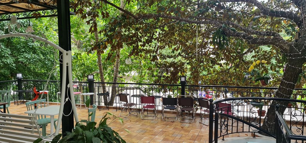 Chính chủ cho thuê biệt thư BT36-16B3 tại Làng Việt Kiều Châu Âu – phường Mộ Lao- Hà Đông- Hà Nội - Ảnh 3