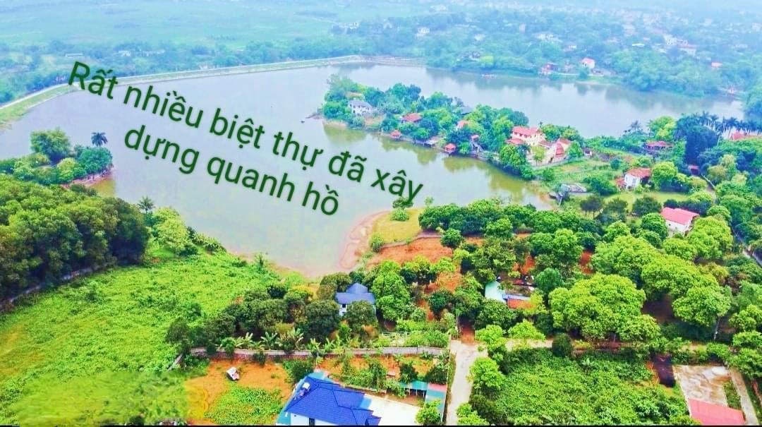 Chính chủ cần bán 3394m2 có 400m thổ cư tại Hòa Bình, chỉ hơn 5tr/m2. Lh:0377694444. - Ảnh 3