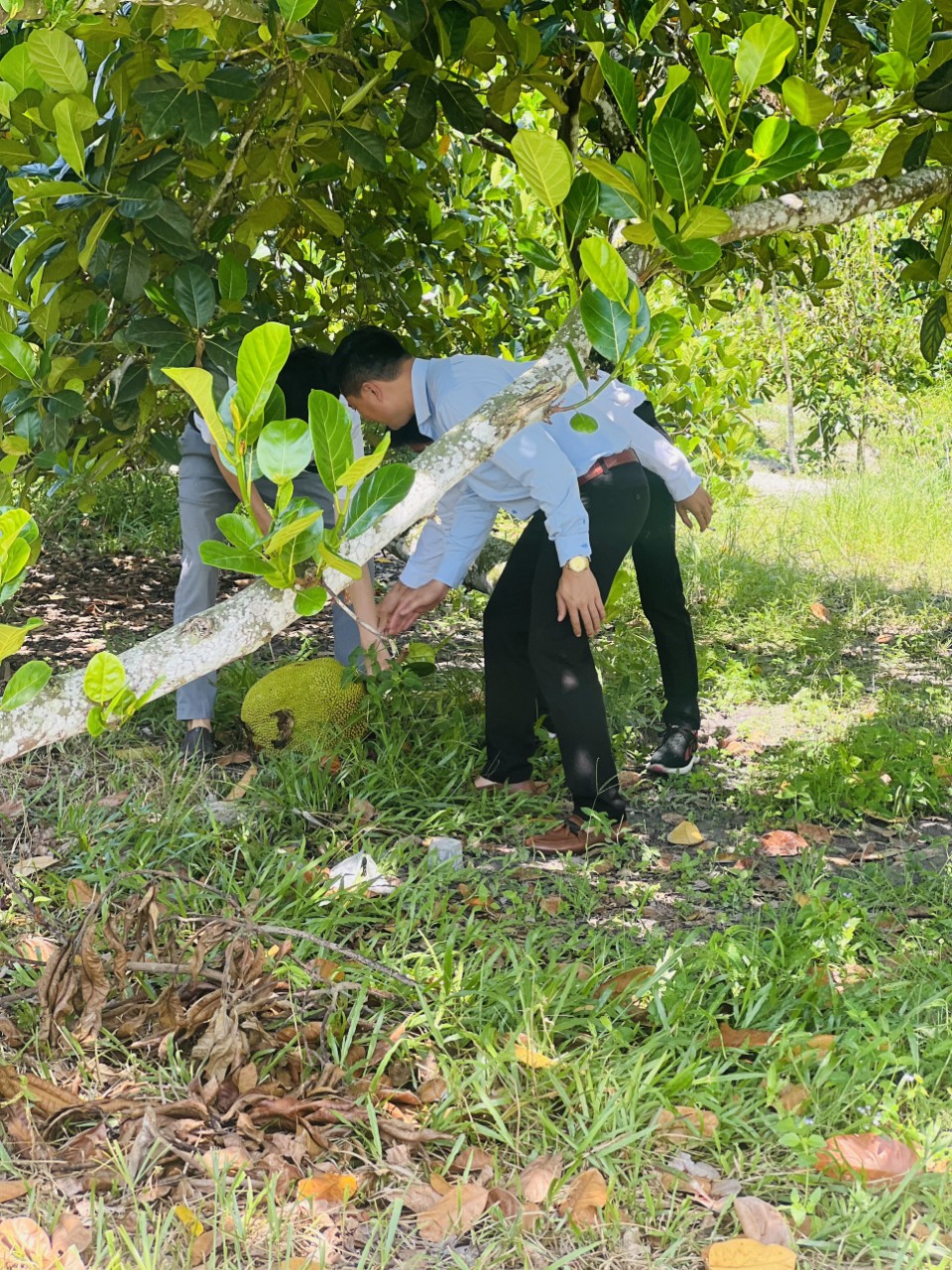 Chính chủ cần bán gấp lô đất chơn thành giá ngộp Cho anh em đầu tư, - Ảnh 2