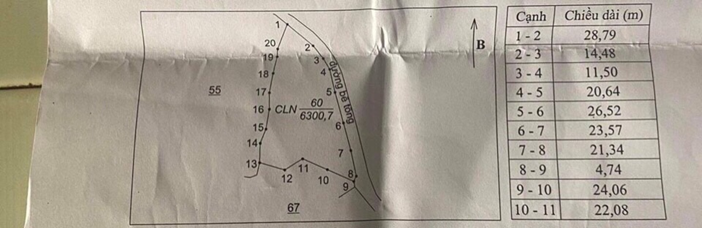 ĐẤT ĐẸP – GIÁ TỐT - CHÍNH CHỦ Cần Bán Khu Đất Cây Lâu Năm Xã Măng Cành, Kon Plong, Kon Tum - Ảnh 2