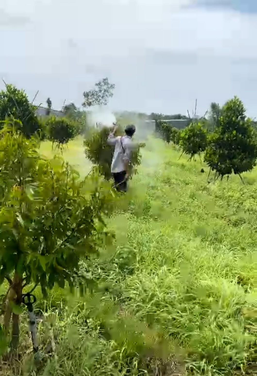 Đất Mẫu - Vườn Trái Cây Xã Phú Tân, Huyện Định Quán, Đồng Nai - Ảnh 1