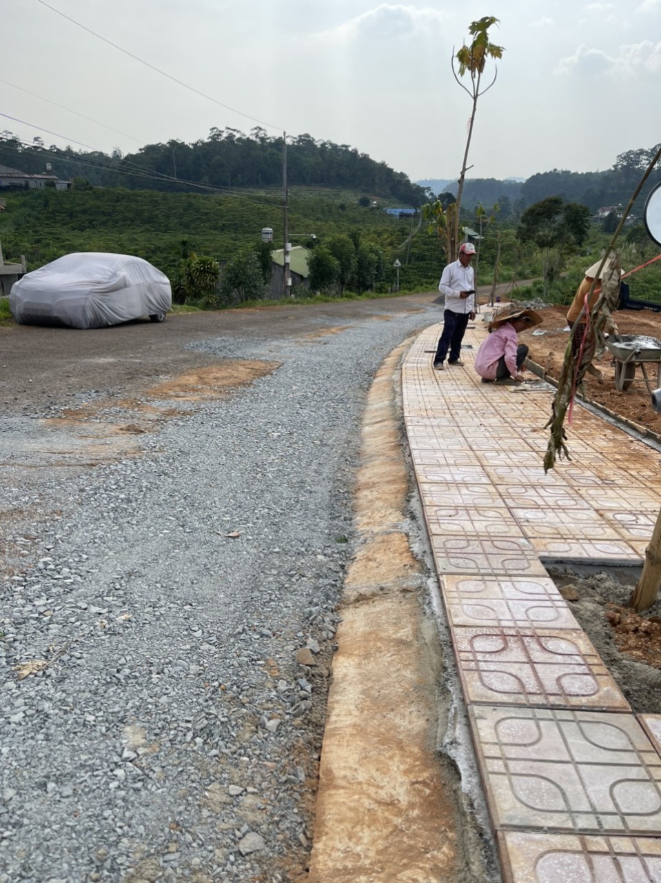 Chính chủ cần bán mảnh đất tại xã Lộc Phú, huyện Bảo Lâm, Lâm Đồng - Ảnh chính