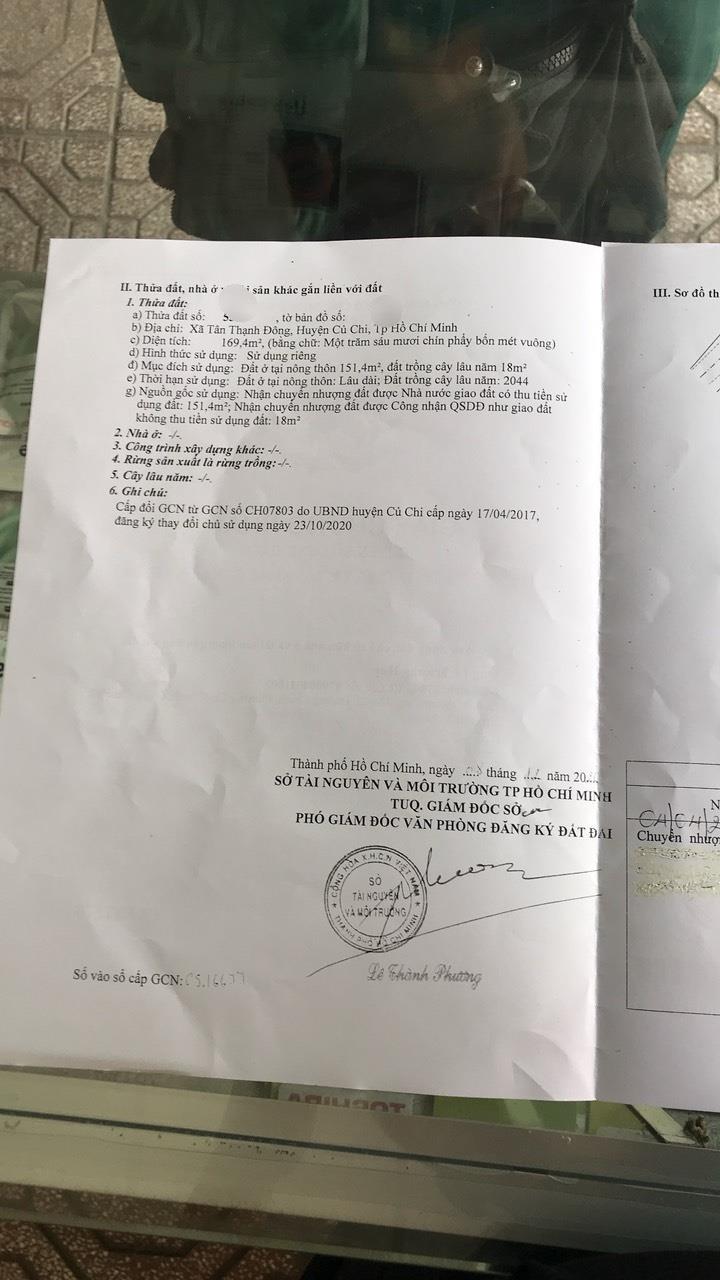 Chính Chủ Bán Nhà Cấp 4 Mặt Tiền Đường Lớn Xã Tân Thạnh Đông, Huyện Củ Chi, TP HCM - Ảnh chính