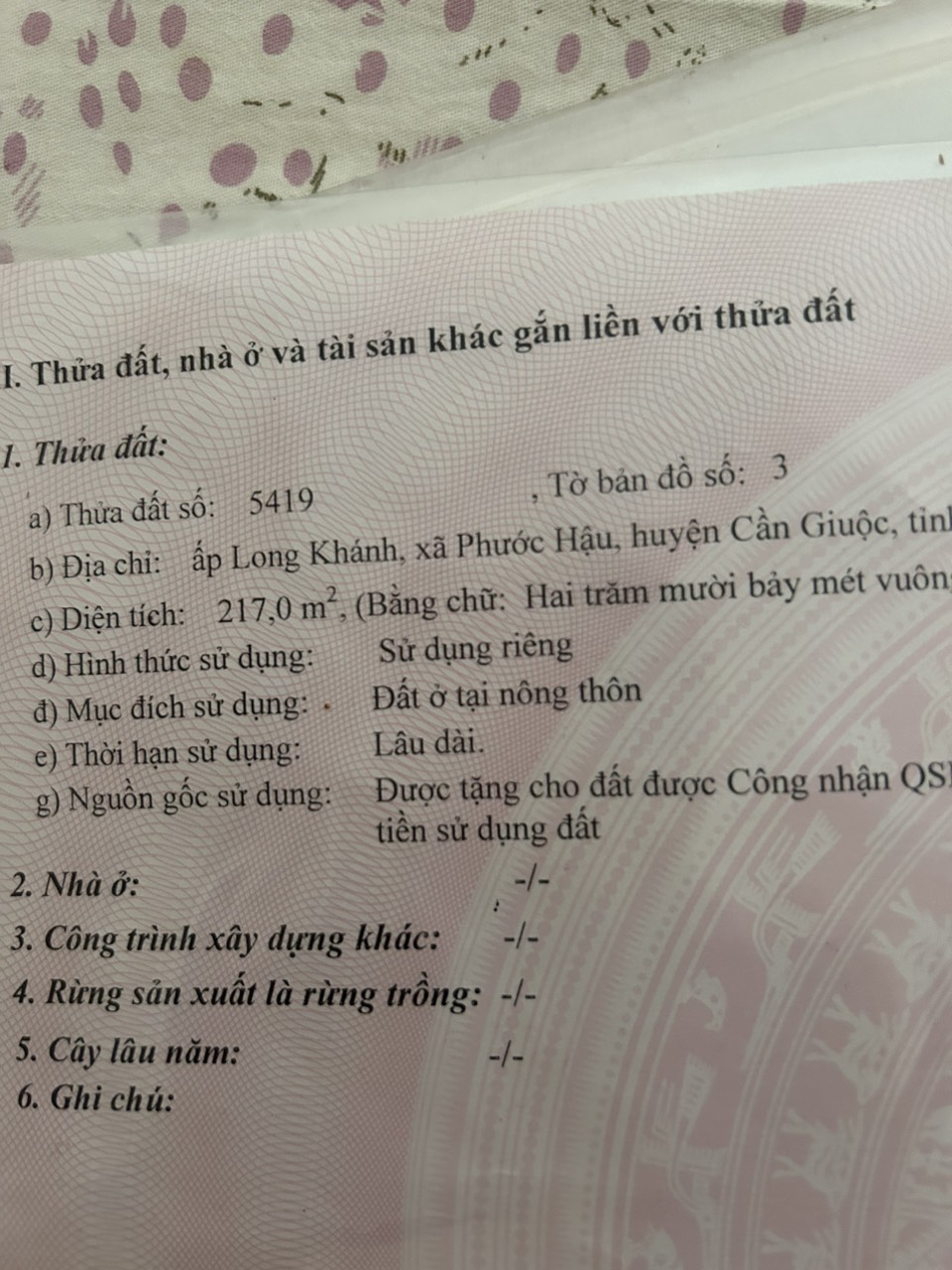 Bán đất tại Cần Giuộc, Long An SHR (chính chủ). 2.1 tỷ. 217m2. Lh:0938678475. - Ảnh 5