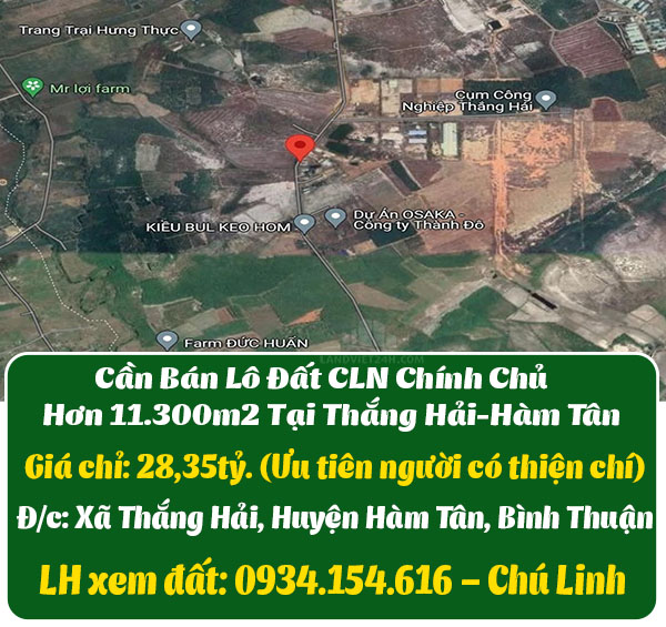 Cần Bán Lô Đất CLN Chính Chủ Hơn 11.300m2 Tại Thắng Hải-Hàm Tân - Ảnh chính