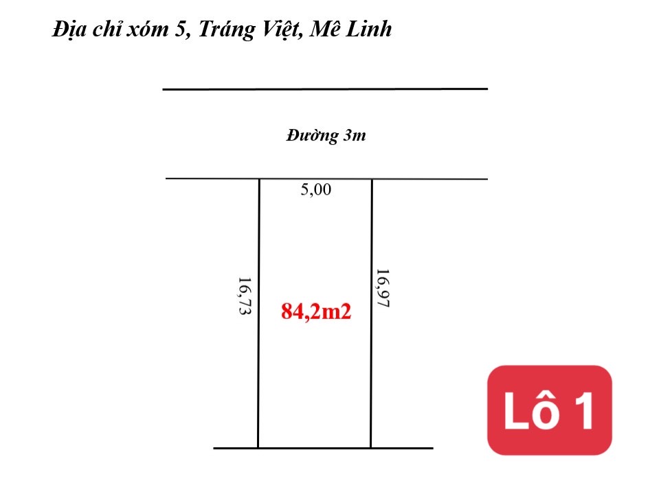 Chính Chủ Bán Lô Đất Đấu Giá Tại Mê Linh Hà Nội - Ảnh 4