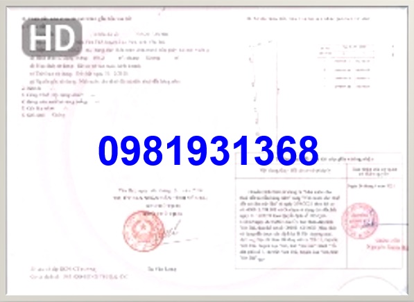 ⭐Bán đất vị trí đẹp tại Lục Yên, Yên Bái; 10tỷ; 0981931368 - Ảnh chính