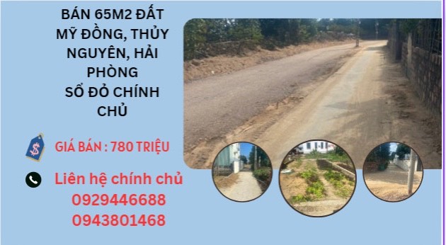 Cần bán đất sổ đỏ 65m2 thôn 5 xã Mỹ Đồng, Thuỷ Nguyên, Hải Phòng. Giá cả hợp lý - Ảnh chính