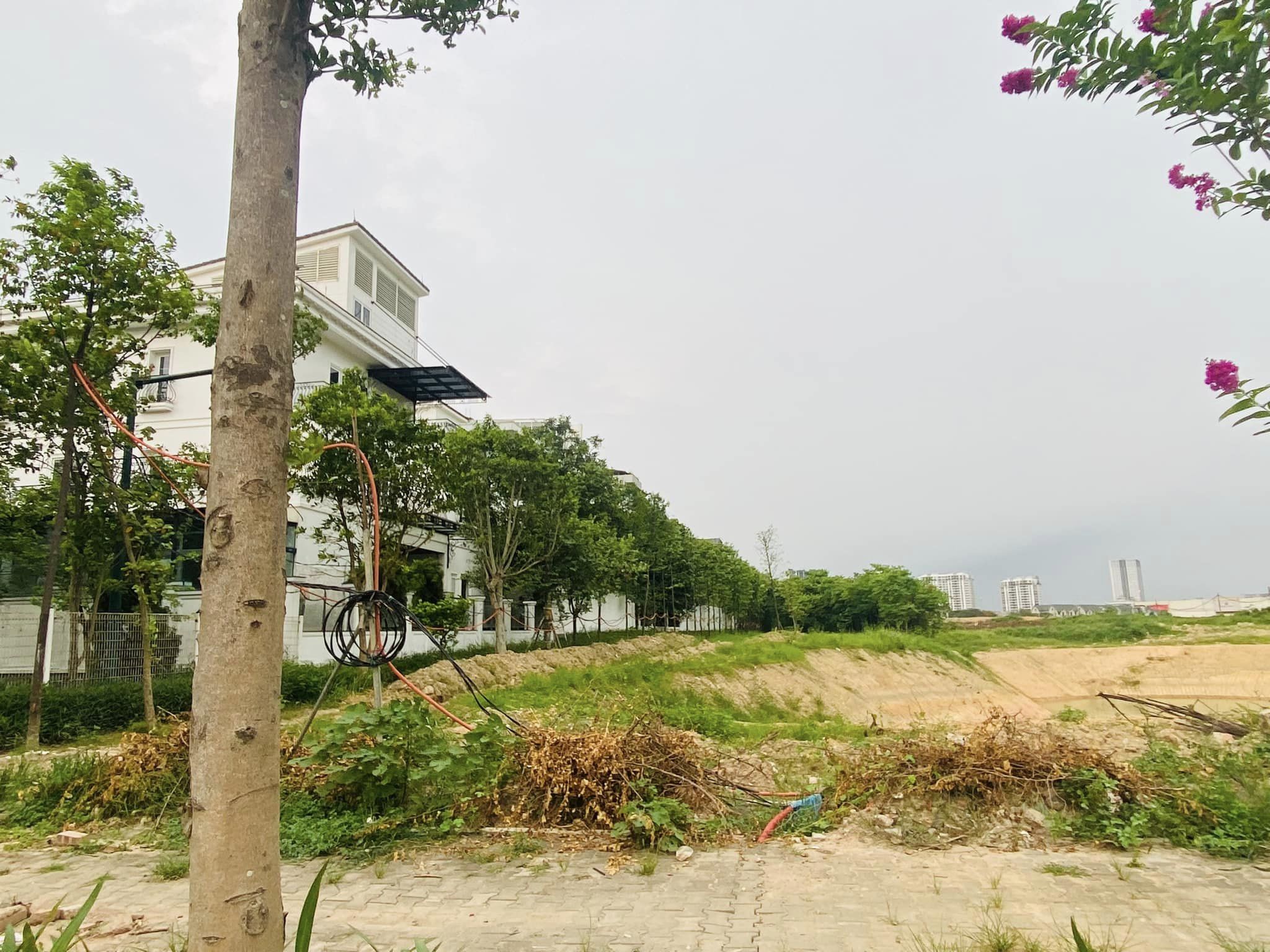 ⚜️ BIỆT THỰ K6 CIPUTRA TÂY HỔ, VIEW CÔNG VIÊN, 328M2 3.5 T MT 12M, CHỈ 139 TỶ ⚜️ - Ảnh 4