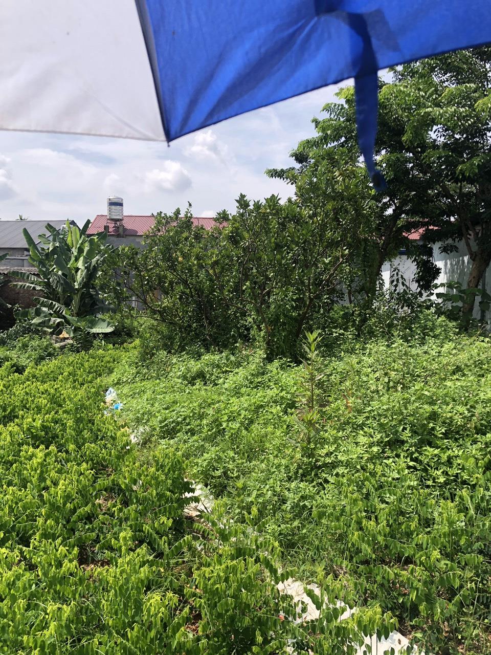 HOT HOT- CẦN BÁN GẤP LÔ Đất   tại phường Nam Tiến , Thành phố Phổ Yên, Tỉnh Thái Nguyên - Ảnh 4