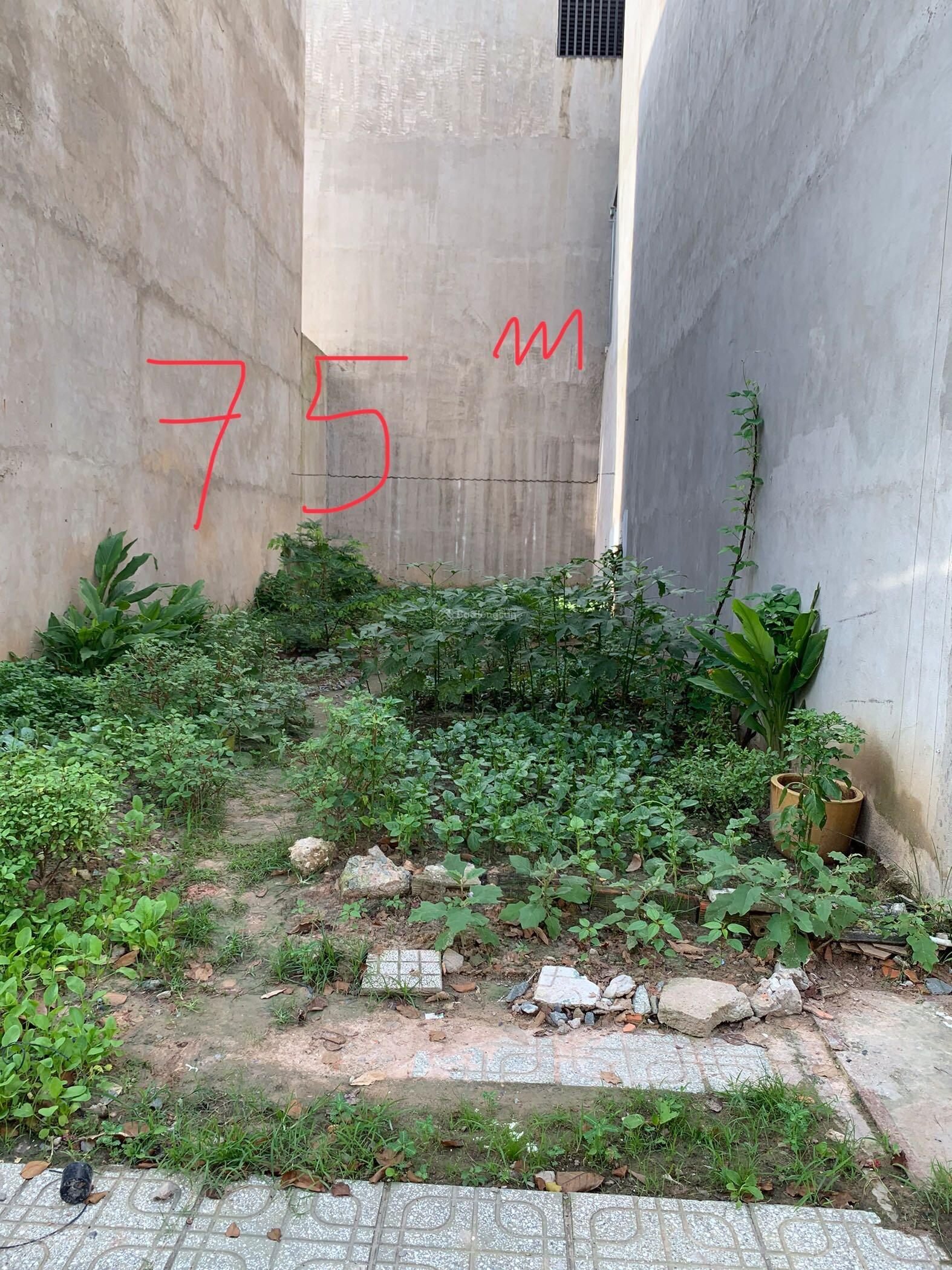 Chính chủ cần bán lô đất khu nhà ở An Phú Thuận An Bình Dương  5*16m vị trí đẹp - Ảnh 2