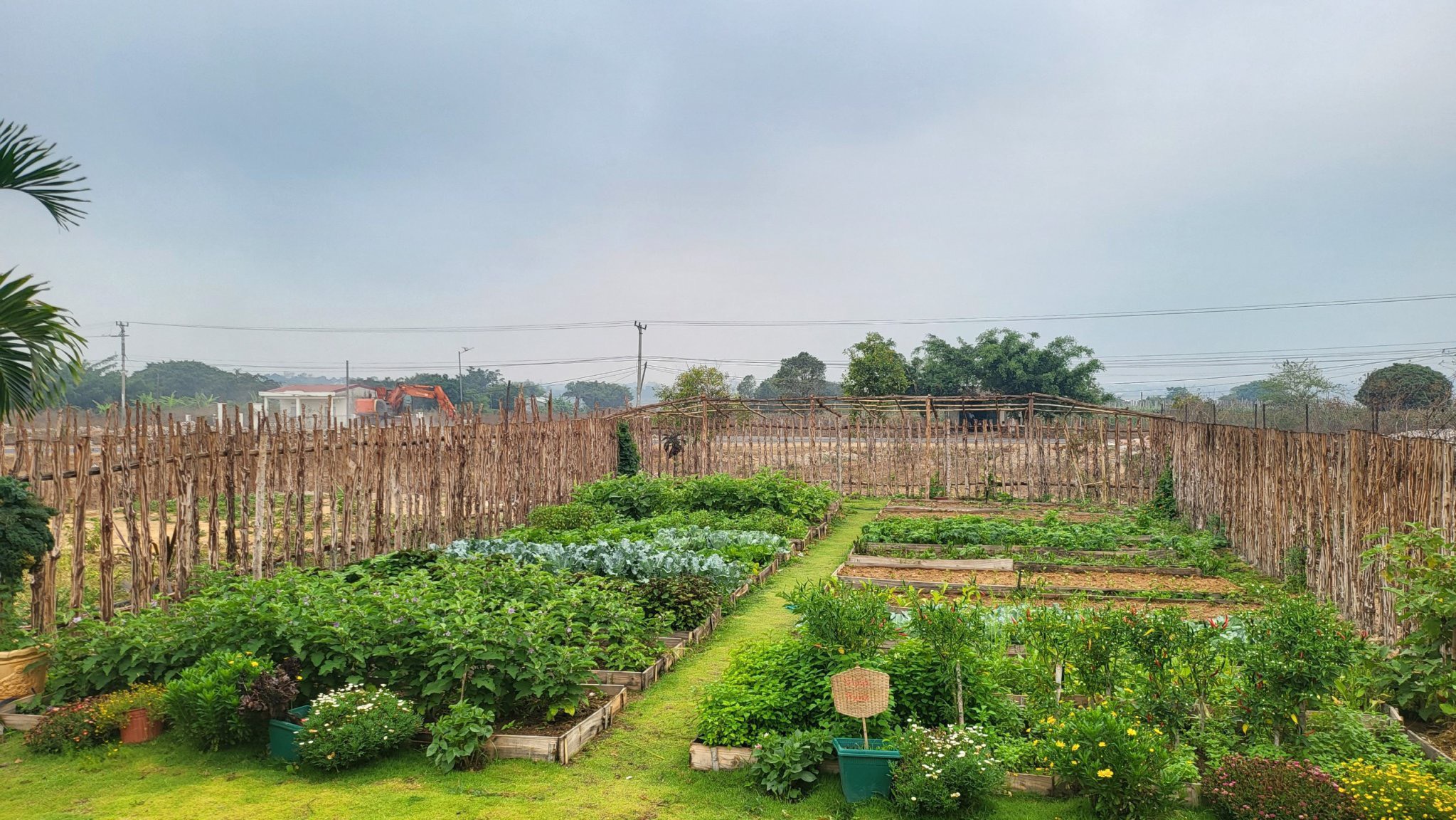 Rao bán gấp Village biển hồ-sổ đỏ trao tay - Ảnh 2