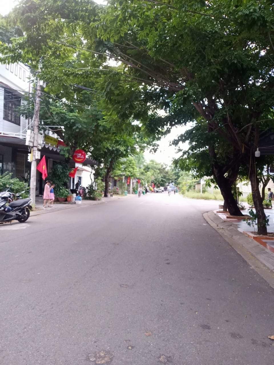 Bán đất  mặt tiền đường Nguyễn  Minh Chấn - Liên Chiểu, Đà Nẵng. - Ảnh 3