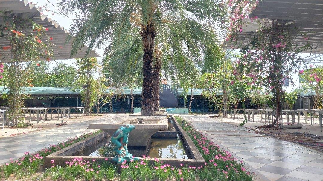 Cần cho thuê hoặc sang nhượng nhanh sân vườn vị trí siêu đẹp tại phường Phú Hữu, TP Thủ Đức ,TPHCM - Ảnh 4