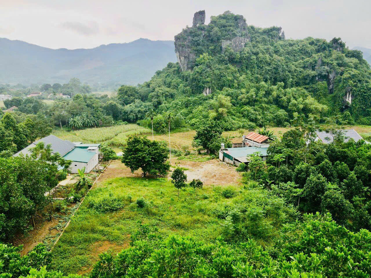 Cần bán 2000m tại Lương Sơn, Hoà Bình, Giá đầu tư vô cùng hợp lý. - Ảnh 1