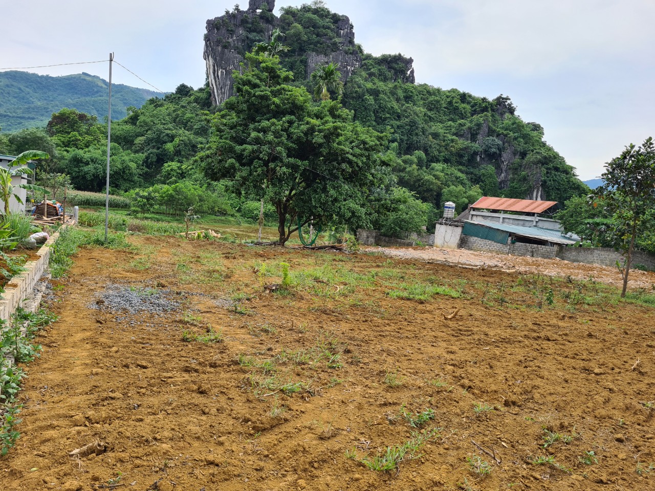 Cần bán 2000m tại Lương Sơn, Hoà Bình, Giá đầu tư vô cùng hợp lý. - Ảnh 3