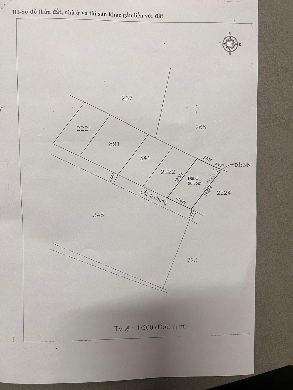 Ngộp - Cần Bán Nhanh Lô Đất Biệt Lập Đường Mai Anh Đào, Phường 8, Đà Lạt Giá Chỉ 6Ty7 - Ảnh 4