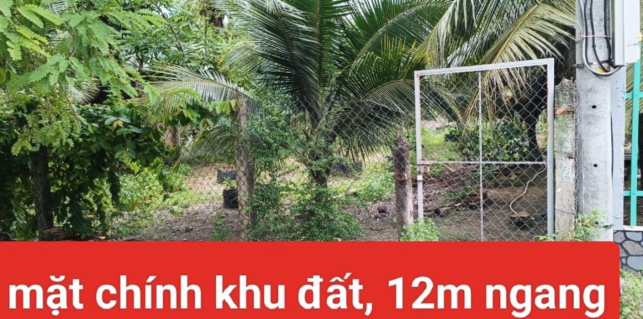 Chính Chủ CẦN BÁN NHANH LÔ ĐẤT Tại Đường Huyện 86C, Xã Tân Mỹ Chánh, Tp Mỹ Tho, Tiền Giang - Ảnh chính