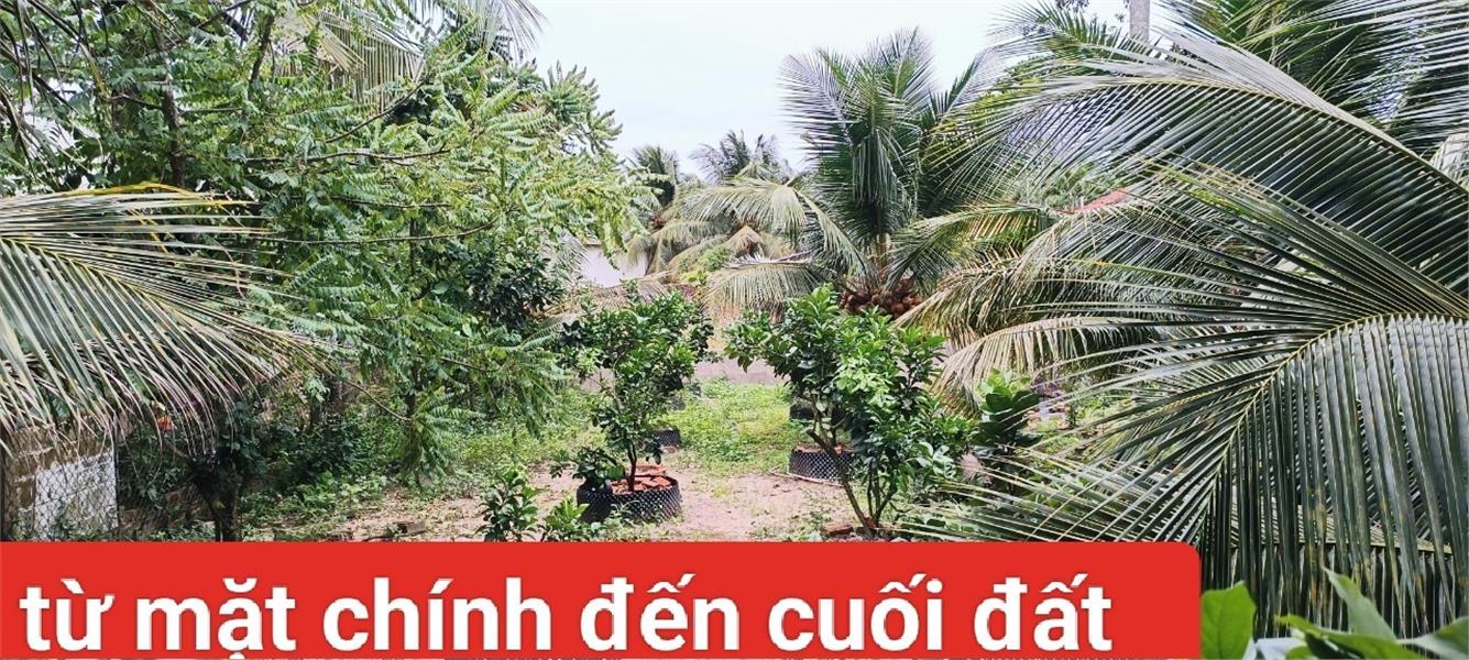 Chính Chủ CẦN BÁN NHANH LÔ ĐẤT Tại Đường Huyện 86C, Xã Tân Mỹ Chánh, Tp Mỹ Tho, Tiền Giang - Ảnh 2