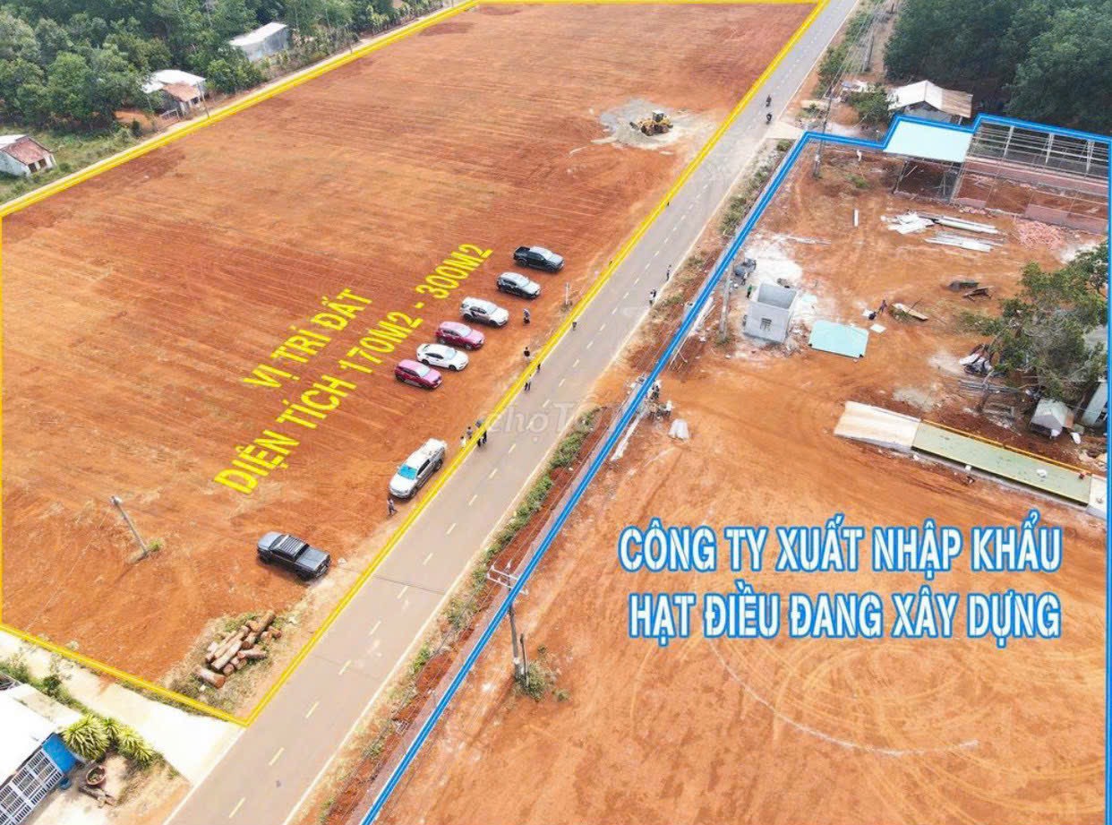 Đất nền giá rẻ Bình Phước chỉ 168tr sở hữu ngay 175m2 đất tặng ngay 2 chỉ vàng cho khách đầu tư - Ảnh 2