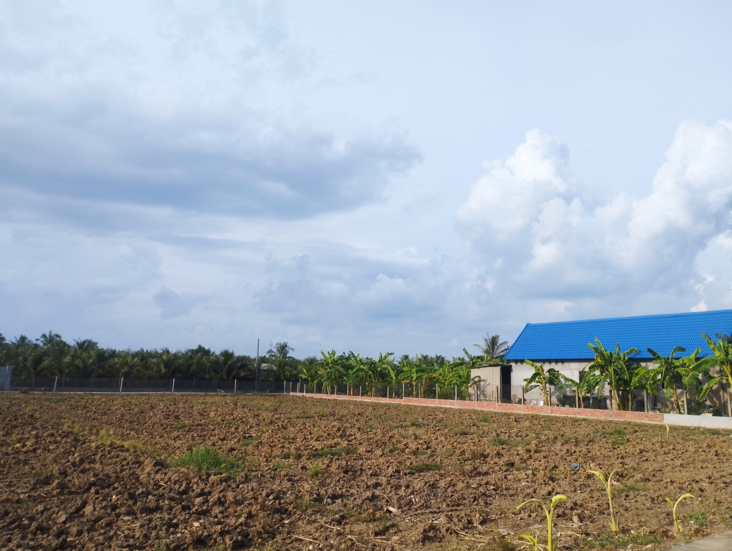 cần bán đất chính chủ Mỹ Tho - Ảnh chính