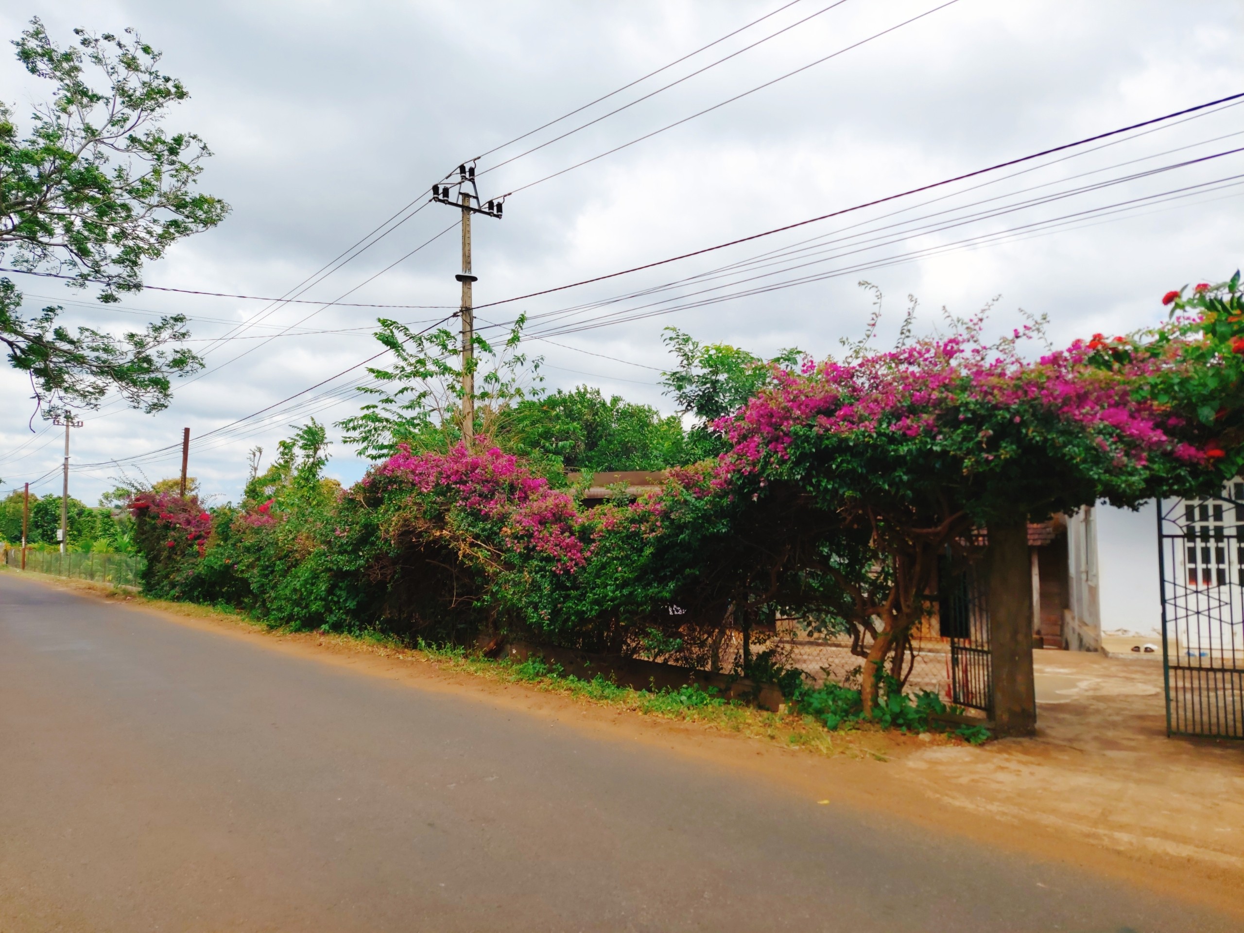 Chính chủ cần bán lô đất hướng đông nam, đường Ea Kao-Hoà Khánh, Buôn Ma Thuột, Đăk Lăk . - Ảnh chính