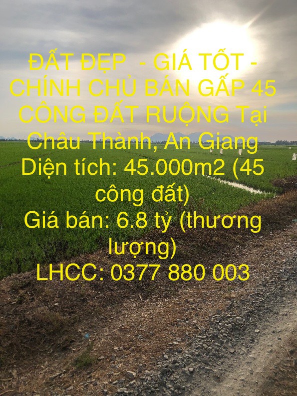 ĐẤT ĐẸP  - GIÁ TỐT - CHÍNH CHỦ BÁN GẤP 45 CÔNG ĐẤT RUỘNG Tại Châu Thành, An Giang - Ảnh chính