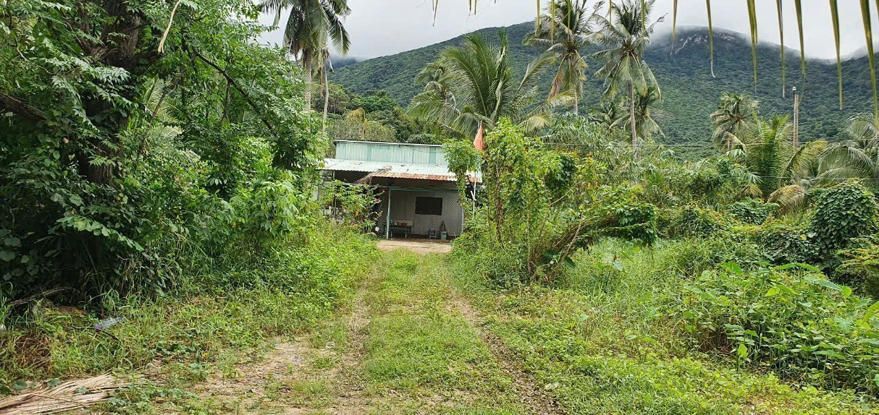 Bán đất đường Hoàng Phi Yến, Côn Đảo, Bà Rịa Vũng Tàu giá đầu tư. - Ảnh 2