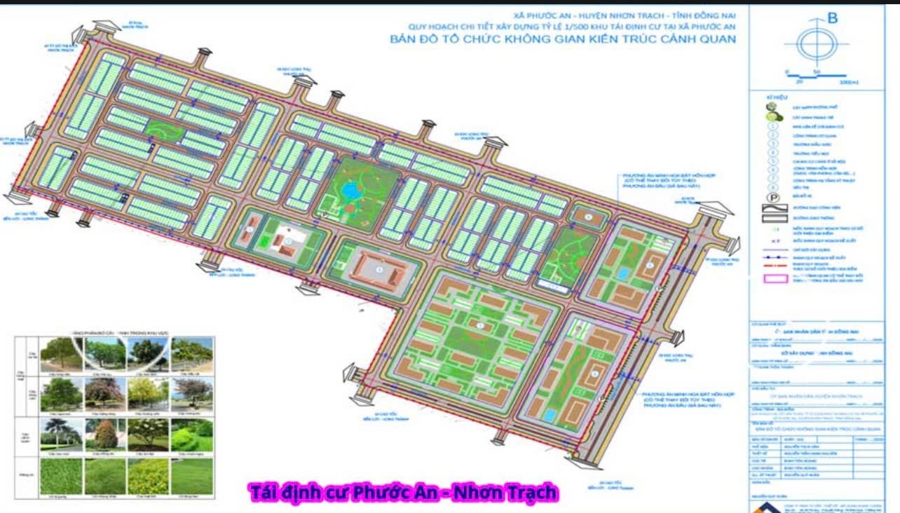 ĐẤT CHÍNH CHỦ - GIÁ TỐT - Lúa non tái định cư Phước An, Nhơn Trạch, Đồng Nai - Ảnh 1