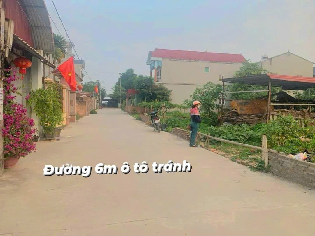 VỊ TRÍ VÀNG TRONG LÀNG HOÀNG DƯƠNG MAI ĐÌNH DT 89 M ĐƯỜNG THÔNG RÔNG 6-7 M CAM KÊT - Ảnh 1