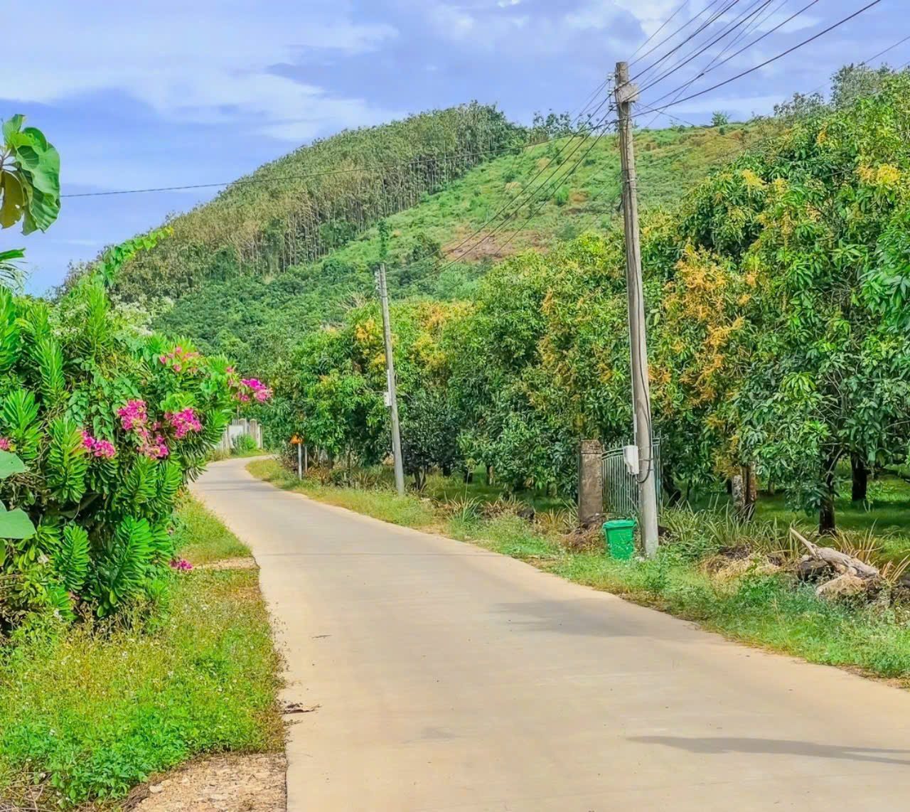 Có bao giờ bạn muốn trốn chạy khỏi nơi xô bồ, khói bụi của thành phố - Ảnh 2