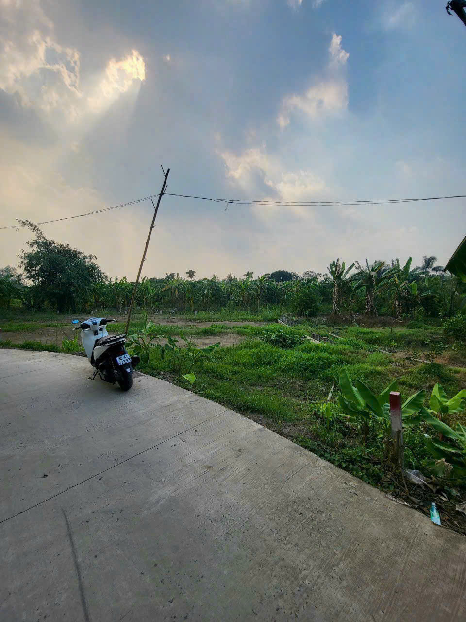 070🌋🌋BÁN NỀN THỔ CƯ RẠCH NGÃ BÁT. ĐƯỜNG VƯỜN MẬN GẦN BỆNH VIỆN NHI ĐỒNG, ĐH NAM CT, ĐH FPT CẦN - Ảnh 4