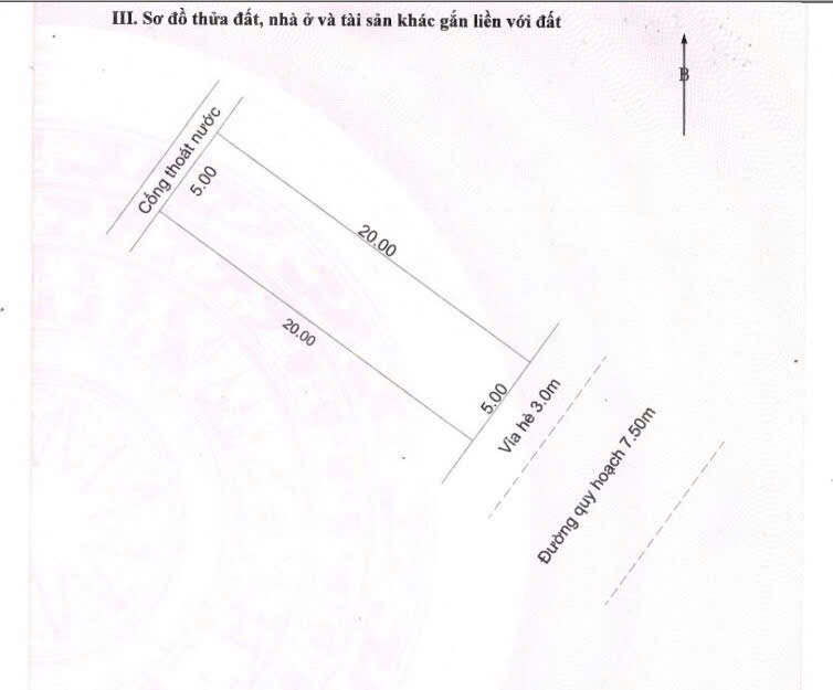 Bán đất lô đôi hàng hiếm đảo VIP Hòa xuân 200m2 ngang 10m giá chính chủ 8.99 tỷ - Ảnh 4