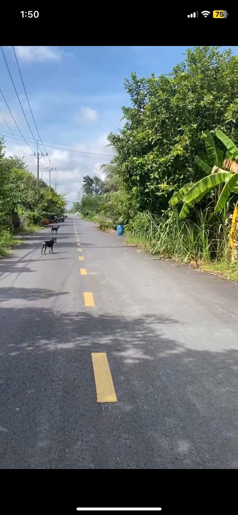 Đất Đẹp - Giá Tốt - Chính Chủ Cần Bán Lô Đất Vị Trí Đẹp Tại Xã Trung An ,Củ Chi,HCM - Ảnh 2