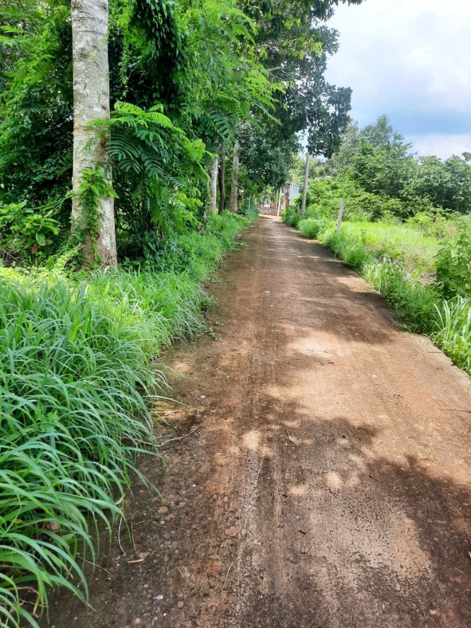 CHÍNH CHỦ BÁN LÔ ĐẤT ĐẸP ngay trung tâm thương mại NGÃI GIAO- CHÂU ĐỨC - BÀ RỊA VŨNG TÀU - Ảnh chính