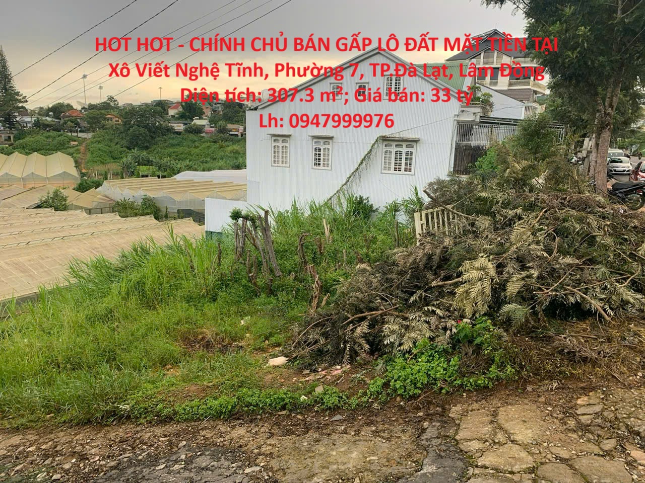 HOT HOT - CHÍNH CHỦ BÁN GẤP LÔ ĐẤT MẶT TIỀN TẠI Xô Viết Nghệ Tĩnh, Phường 7, TP.Đà Lạt, Lâm Đồng - Ảnh chính