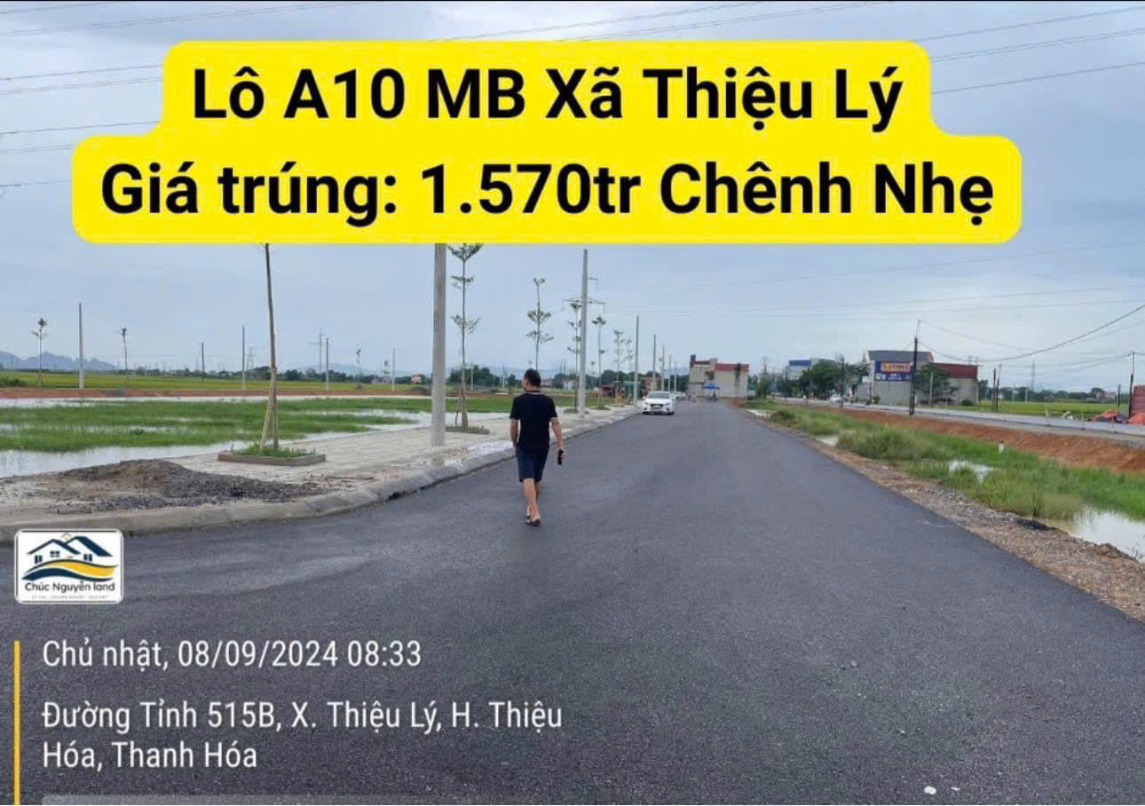 Mặt bằng đường Tỉnh Lộ 515B, xã Thiệu Lý, Thiệu Hoá, Thanh hóa. - Ảnh chính