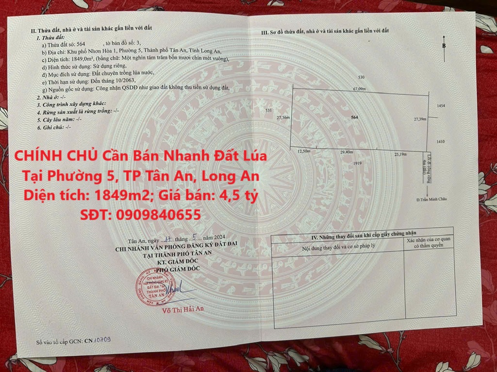 CHÍNH CHỦ Cần Bán Nhanh Đất Lúa Tại Phường 5, TP Tân An, Long An - Ảnh chính