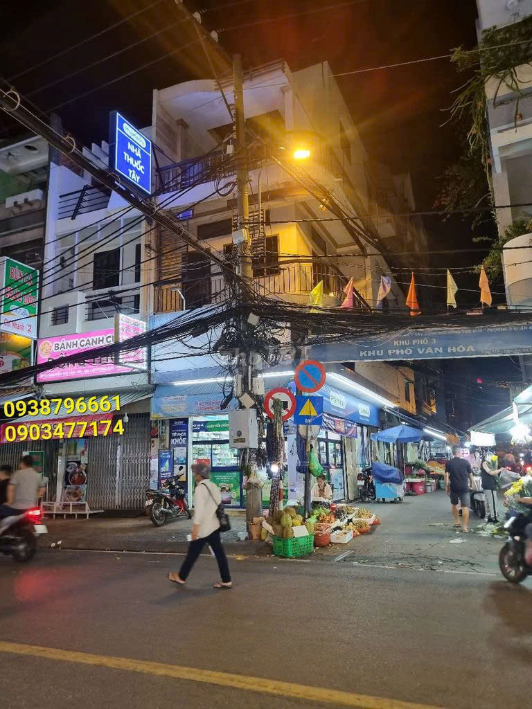 CHÍNH CHỦ CHO THUÊ NHÀ 2 CĂN LIỀN KỀ 127-129 NGAY CHỢ ĐƯỜNG NGUYỄN THỊ TẦN - TP HỒ CHÍ MINH - Ảnh 1