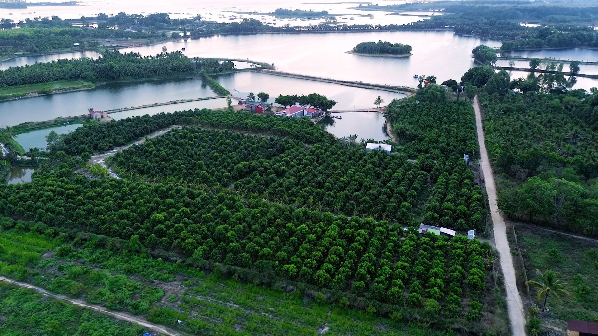 Cần bán gấp lô đất 5ha ngay xã Phú Ngọc, Định Quán, Đồng Nai - Ảnh 1