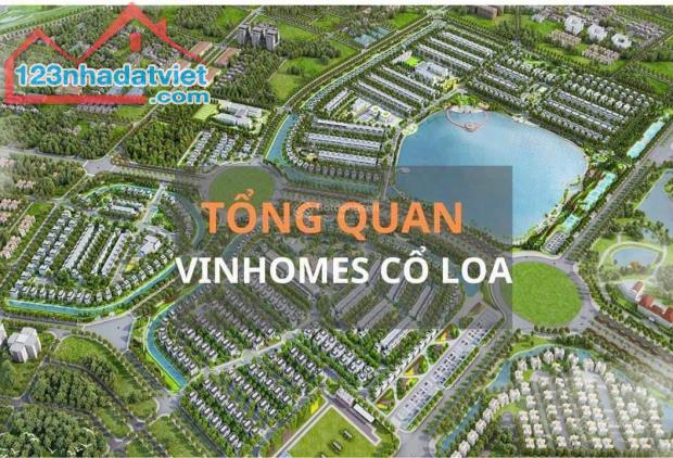 Cần bán dự án Vinhomes Cổ Loa – Đông Anh siêu đẹp, siêu tốt, đầu tư siêu lợi nhuận - Ảnh chính